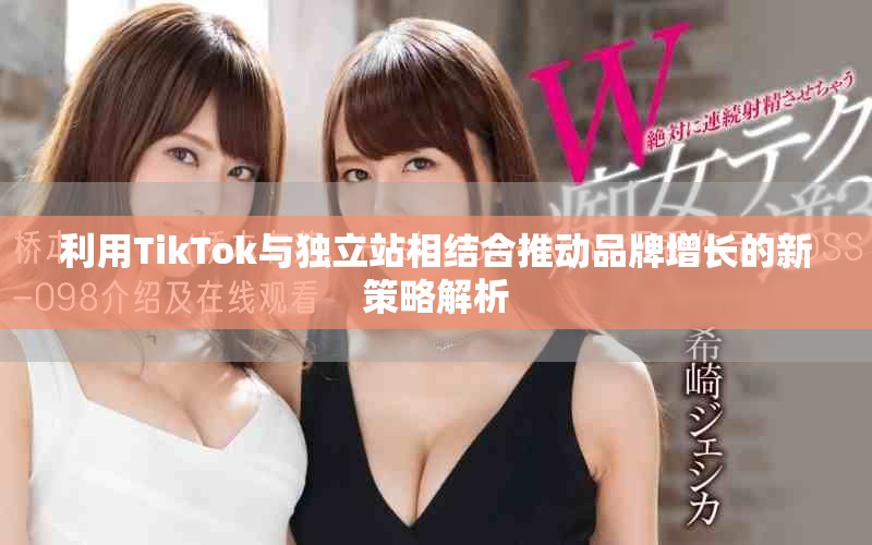 利用TikTok与独立站相结合推动品牌增长的新策略解析