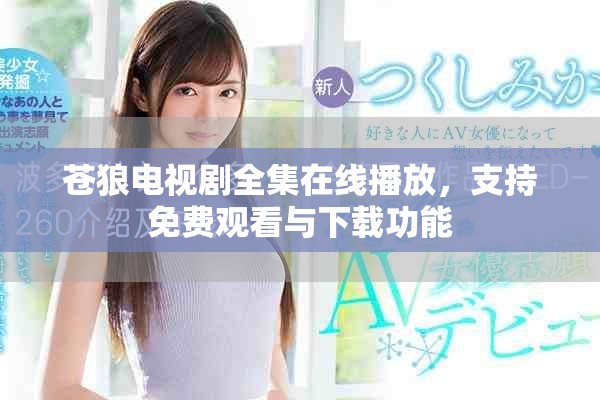 苍狼电视剧全集在线播放，支持免费观看与下载功能