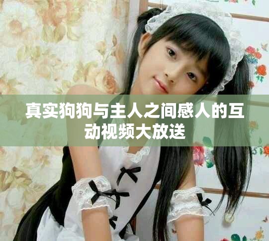 真实狗狗与主人之间感人的互动视频大放送