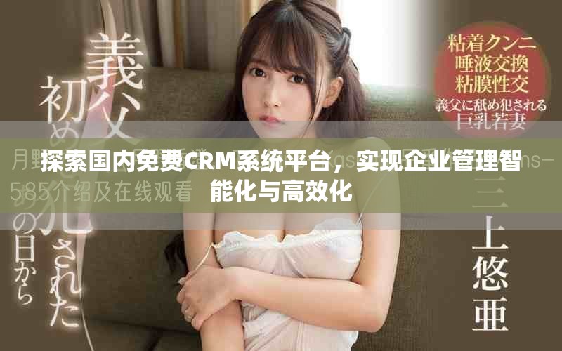 探索国内免费CRM系统平台，实现企业管理智能化与高效化