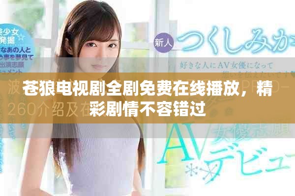 苍狼电视剧全剧免费在线播放，精彩剧情不容错过