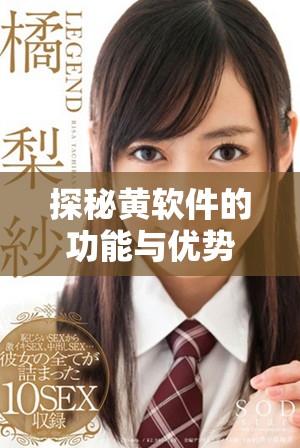 探秘黄软件的功能与优势，揭示其在行业中的应用前景