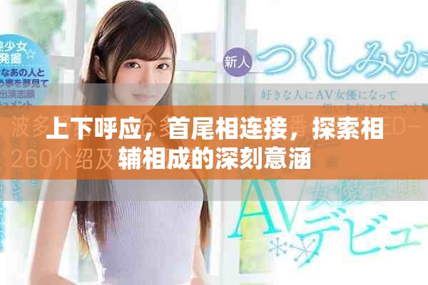 上下呼应，首尾相连接，探索相辅相成的深刻意涵