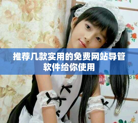 推荐几款实用的免费网站导管软件给你使用