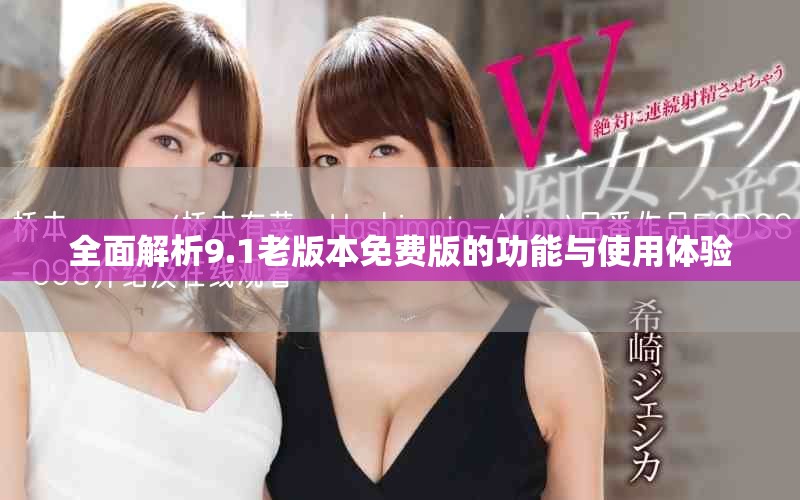 全面解析9.1老版本免费版的功能与使用体验