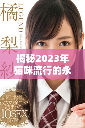 揭秘2023年猫咪流行的永久地域网名有哪些