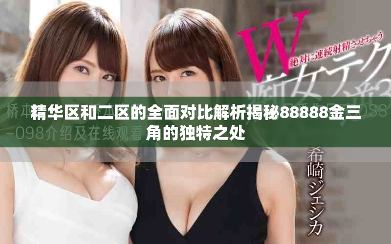 精华区和二区的全面对比解析揭秘88888金三角的独特之处