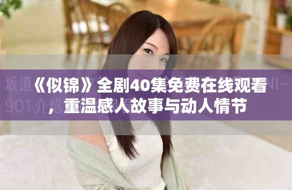 《似锦》全剧40集免费在线观看，重温感人故事与动人情节