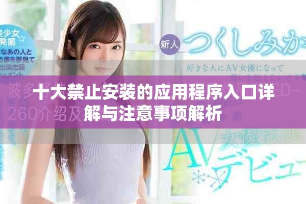 十大禁止安装的应用程序入口详解与注意事项解析