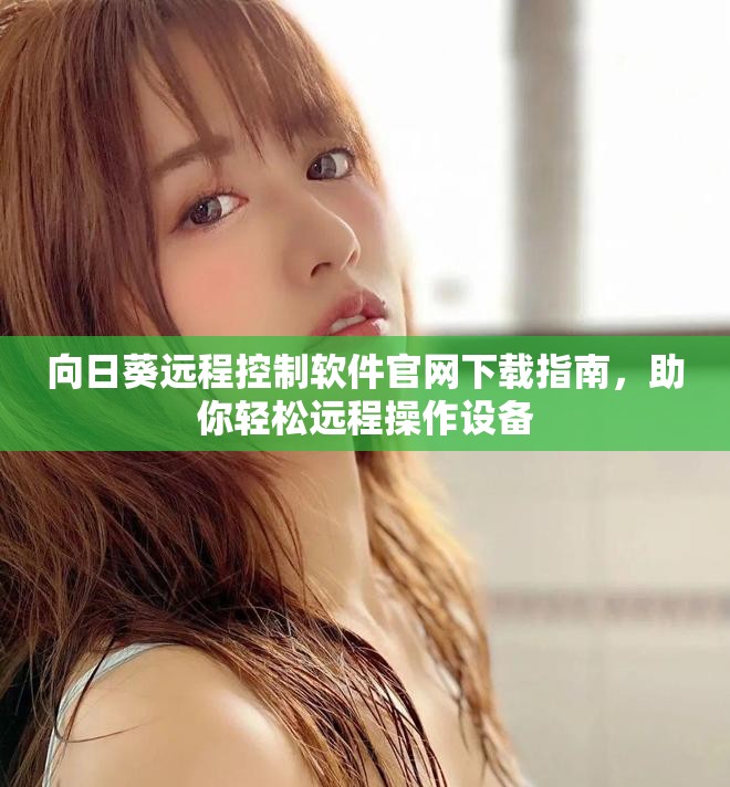 向日葵远程控制软件官网下载指南，助你轻松远程操作设备