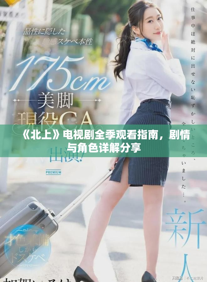 《北上》电视剧全季观看指南，剧情与角色详解分享