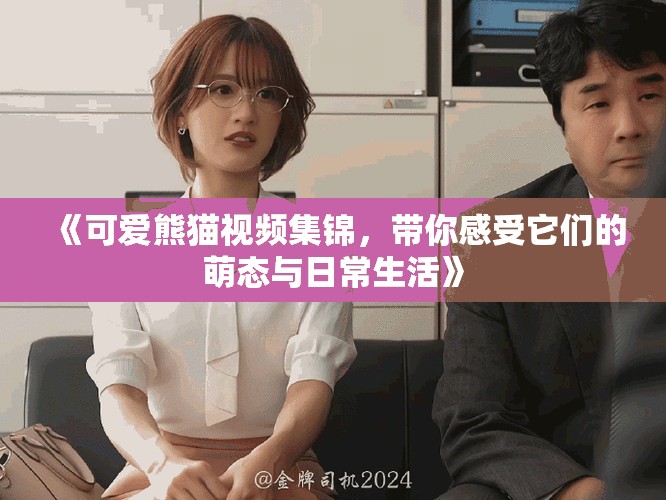 《可爱熊猫视频集锦，带你感受它们的萌态与日常生活》