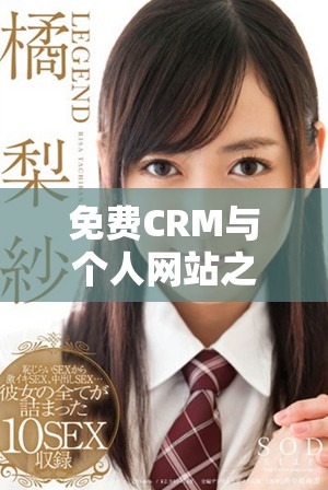 免费CRM与个人网站之间的主要差异分析和比较