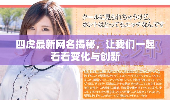 四虎最新网名揭秘，让我们一起看看变化与创新
