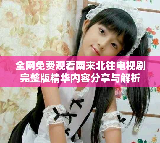 全网免费观看南来北往电视剧完整版精华内容分享与解析