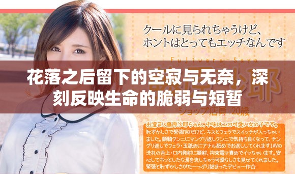 花落之后留下的空寂与无奈，深刻反映生命的脆弱与短暂