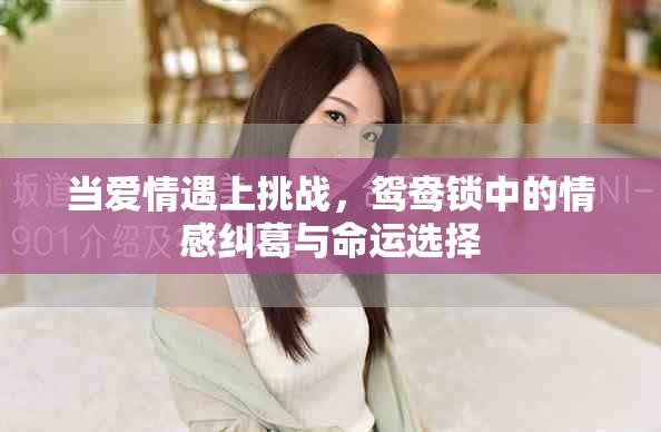 当爱情遇上挑战，鸳鸯锁中的情感纠葛与命运选择