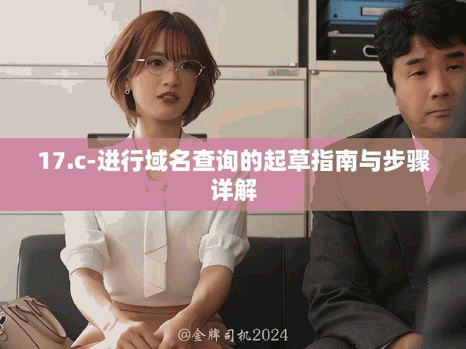 17.c-进行域名查询的起草指南与步骤详解