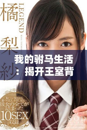 我的驸马生活：揭开王室背后的浪漫与挑战故事