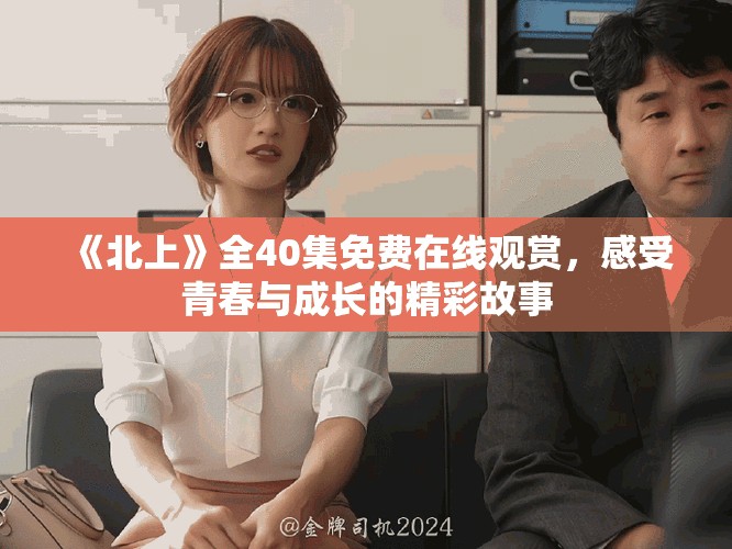《北上》全40集免费在线观赏，感受青春与成长的精彩故事