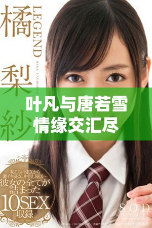 叶凡与唐若雪情缘交汇尽在小说全文免费阅读完整版中