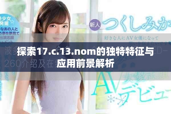 探索17.c.13.nom的独特特征与应用前景解析