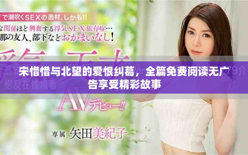 宋惜惜与北望的爱恨纠葛，全篇免费阅读无广告享受精彩故事