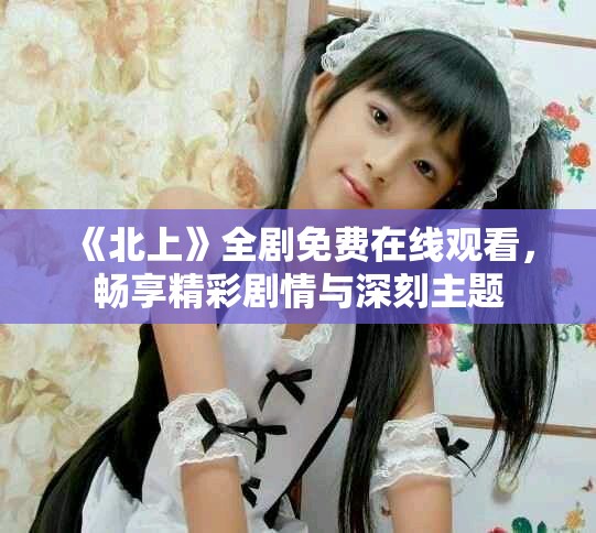 《北上》全剧免费在线观看，畅享精彩剧情与深刻主题