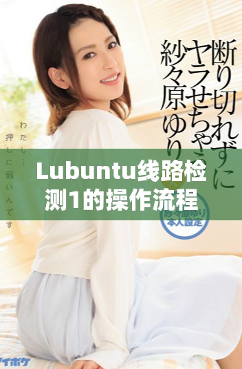 Lubuntu线路检测1的操作流程与常见问题解决方法分析