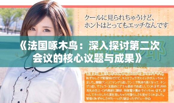 《法国啄木鸟：深入探讨第二次会议的核心议题与成果》