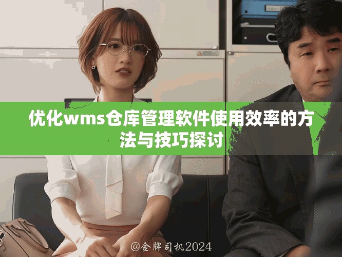 优化wms仓库管理软件使用效率的方法与技巧探讨