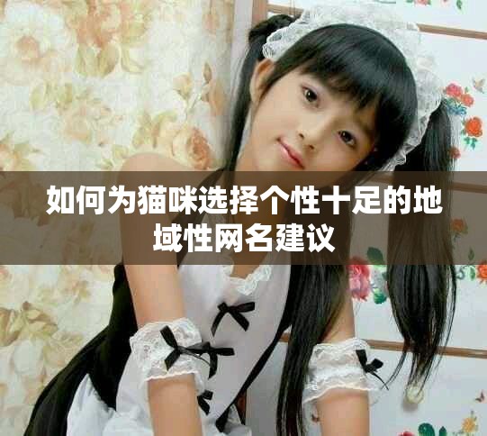 如何为猫咪选择个性十足的地域性网名建议