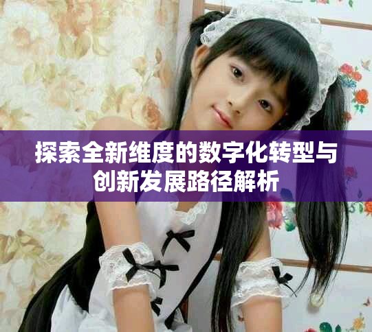探索全新维度的数字化转型与创新发展路径解析