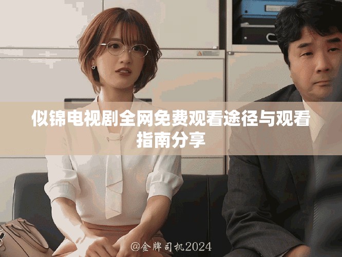 似锦电视剧全网免费观看途径与观看指南分享