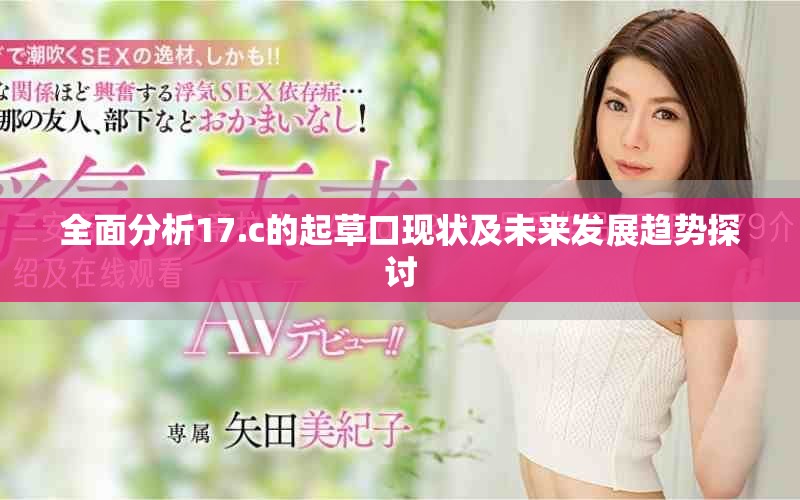 全面分析17.c的起草口现状及未来发展趋势探讨