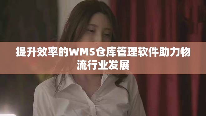 提升效率的WMS仓库管理软件助力物流行业发展