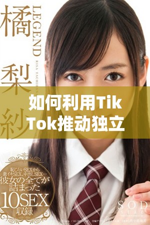 如何利用TikTok推动独立站流量增长与品牌知名度提升