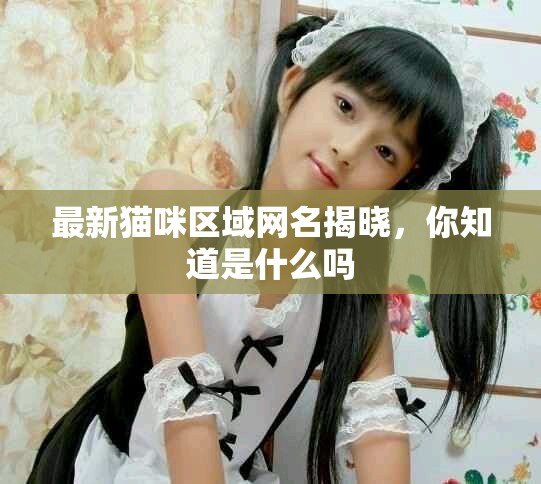 最新猫咪区域网名揭晓，你知道是什么吗