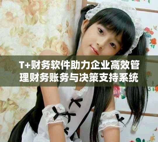 T+财务软件助力企业高效管理财务账务与决策支持系统