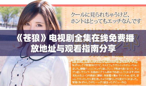 《苍狼》电视剧全集在线免费播放地址与观看指南分享