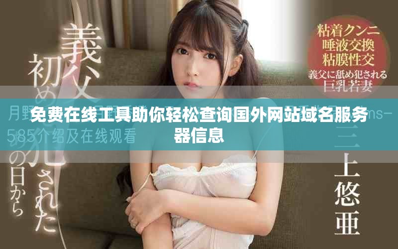 免费在线工具助你轻松查询国外网站域名服务器信息
