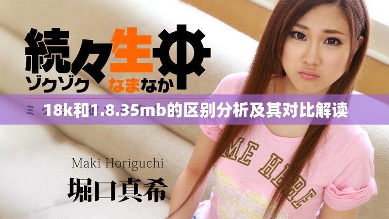 18k和1.8.35mb的区别分析及其对比解读