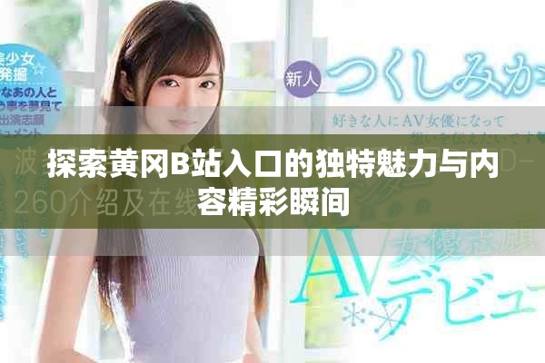 探索黄冈B站入口的独特魅力与内容精彩瞬间