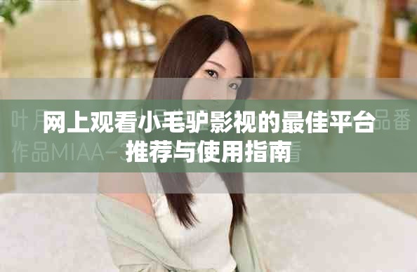 网上观看小毛驴影视的最佳平台推荐与使用指南