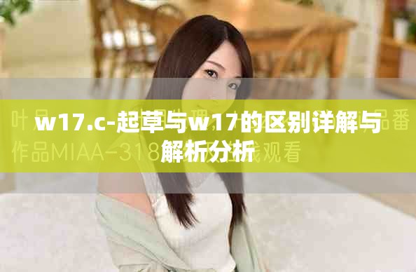 w17.c-起草与w17的区别详解与解析分析