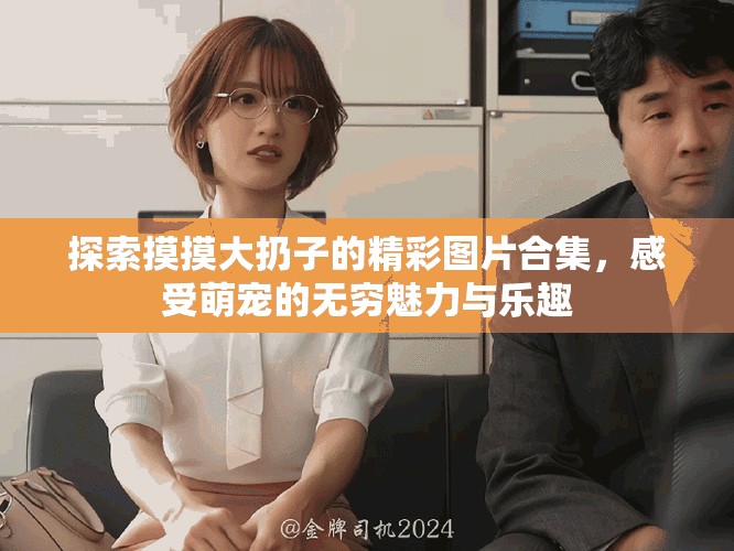 探索摸摸大扔子的精彩图片合集，感受萌宠的无穷魅力与乐趣