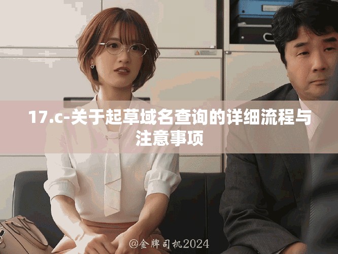 17.c-关于起草域名查询的详细流程与注意事项