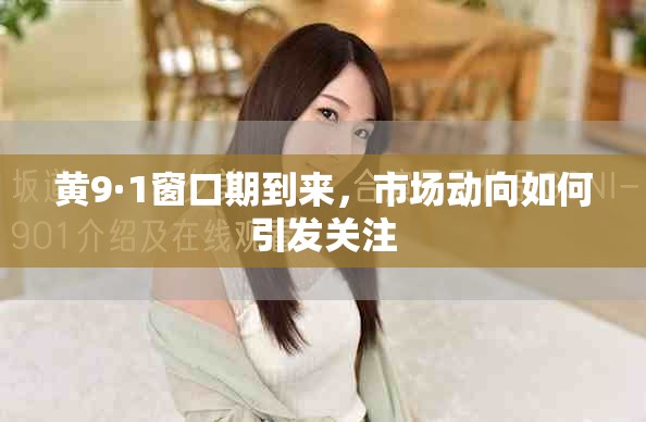 黄9·1窗口期到来，市场动向如何引发关注