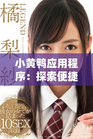 小黄鸭应用程序：探索便捷生活服务的新平台与功能解析