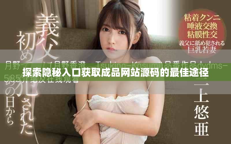 探索隐秘入口获取成品网站源码的最佳途径